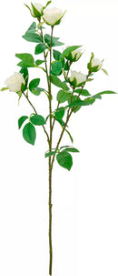 Eleganza Rose Spray White (6 Heads)
