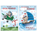 Poppyhill 12 Pack Cards C50 Birthday Grandad