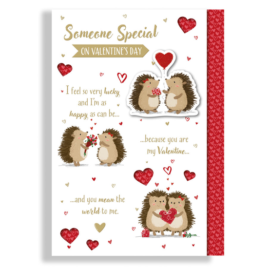 Prelude C90 Valentine's Day Someone Special 6pk