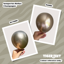 Sempertex Reflex Champagne 5" Latex Balloons 50pk