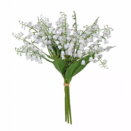 Lily Of The Valley White