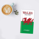 Diary Slim WTV Wales 2027 18pk