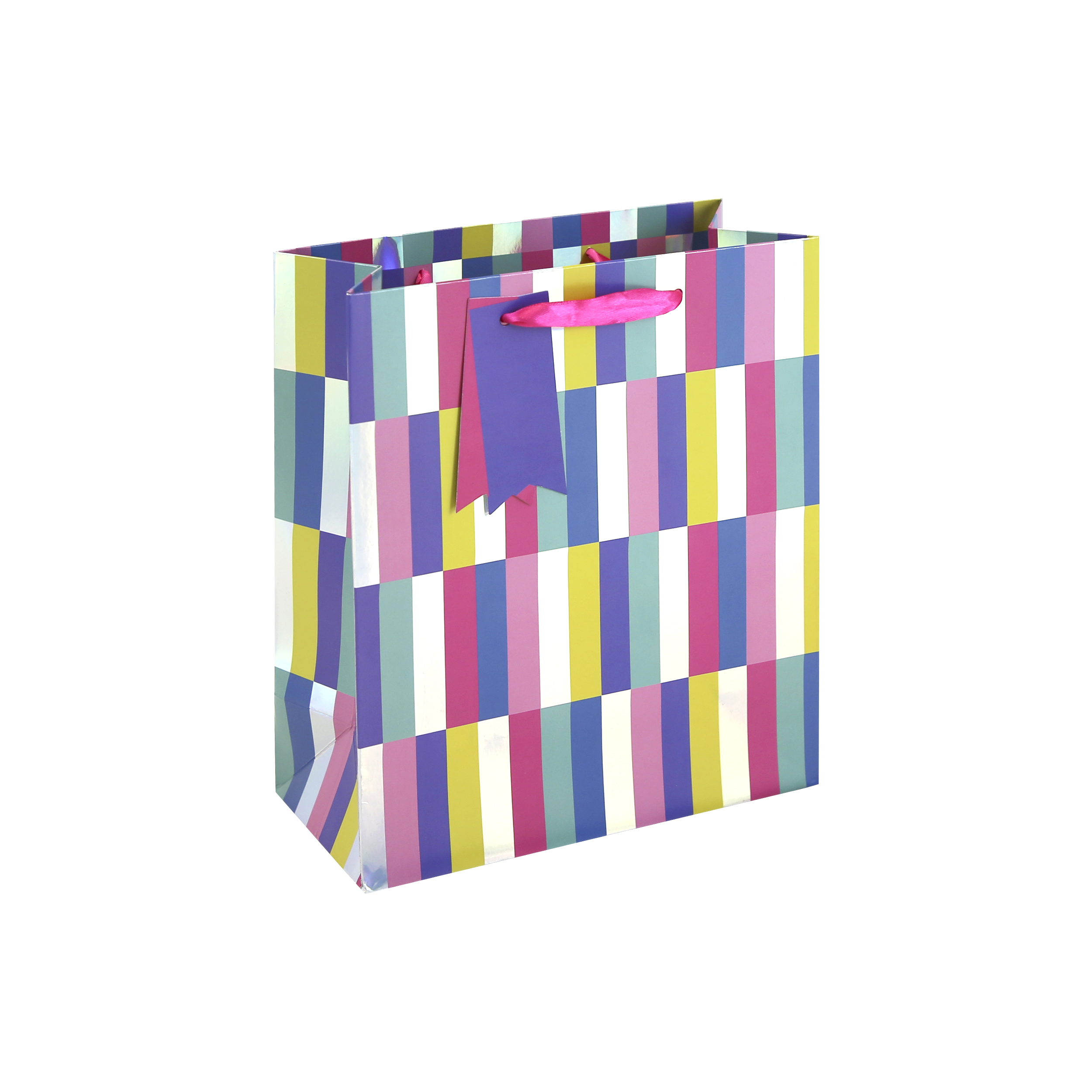 Eurowrap 6 Pack Gift Bag Holo Stripes Medium