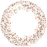Oaktree 8 Pack Plates Sparkling Fizz Rose Gold 9