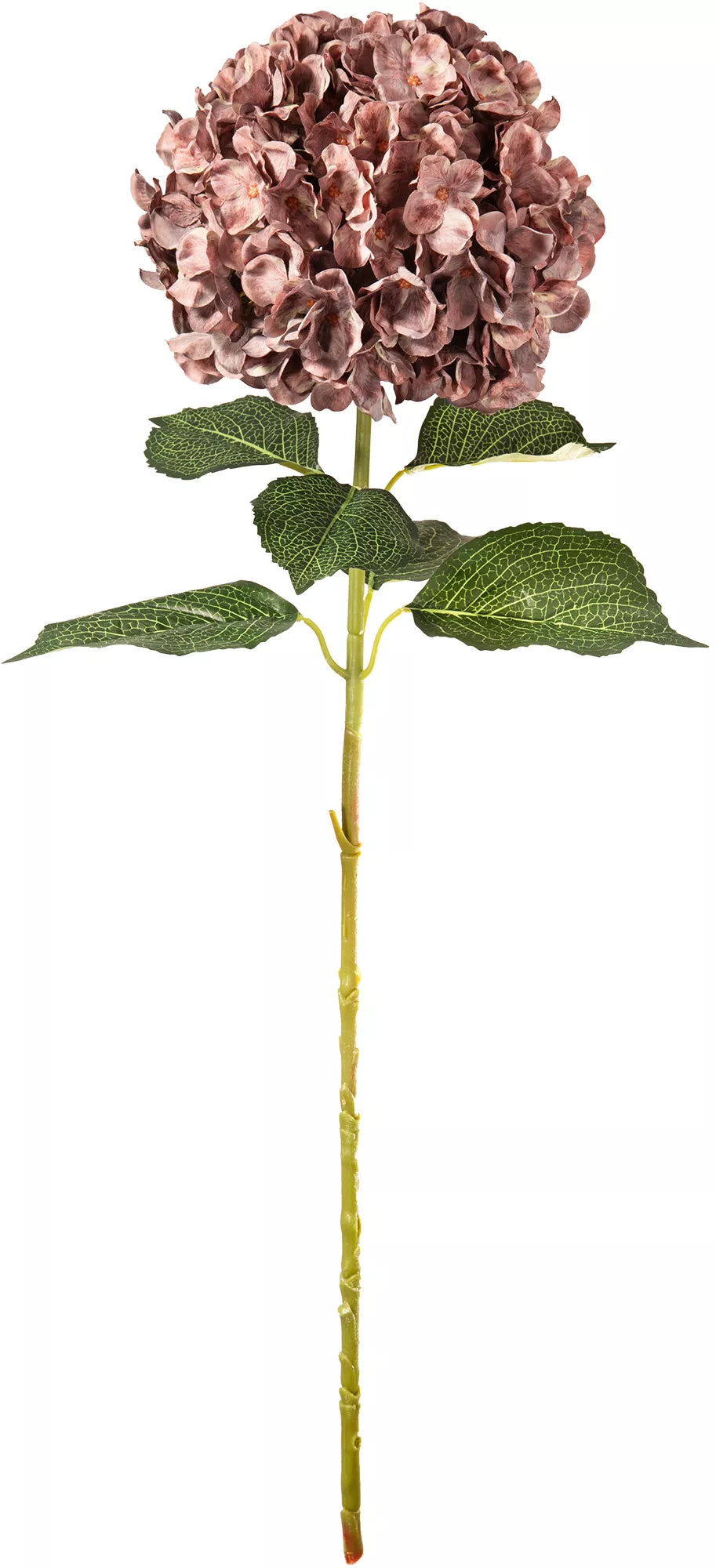 Eleganza Large Head Hydrangea Dusky Pink 92cm