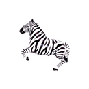 Zebra 14" Mini Shape Foil Balloon