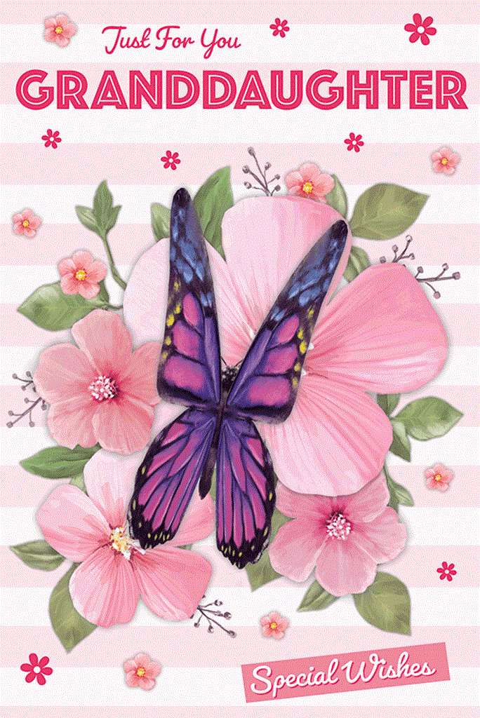 BGC C75 Birthday Granddaughter 6pk