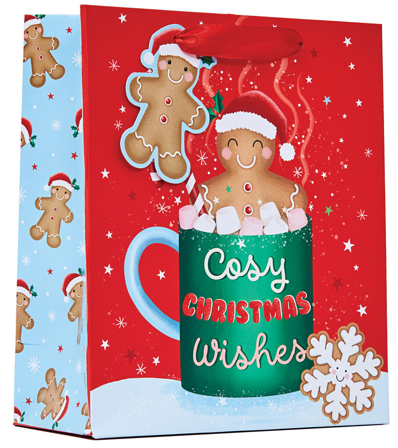 Partisan 6 Pack Gift Bag Cosy Christmas Medium