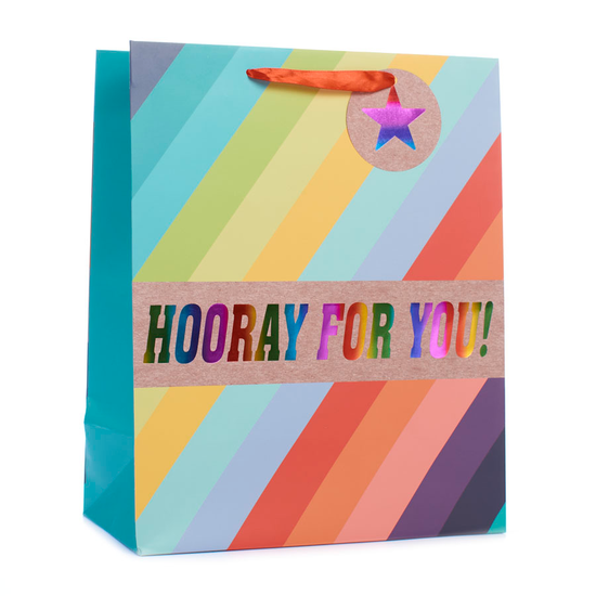 Tiger Feet Gift Bag Rainbow Stripe Extra Large 6pk