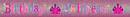 Birthday Princess Banner 2.6M 6pk