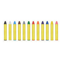 Face Paint Crayons 12pk
