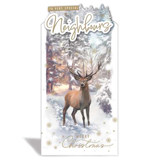 Prelude C55 Christmas Neighbours 6pk