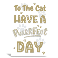 Kingsley C50 Birthday Cat 6pk