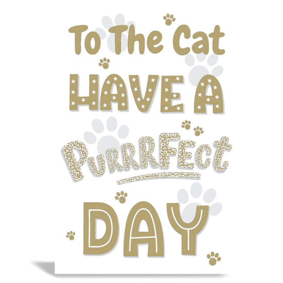 Kingsley C50 Birthday Cat 6pk
