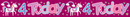 Age 4 Birthday Female Banner 2.6M 6pk
