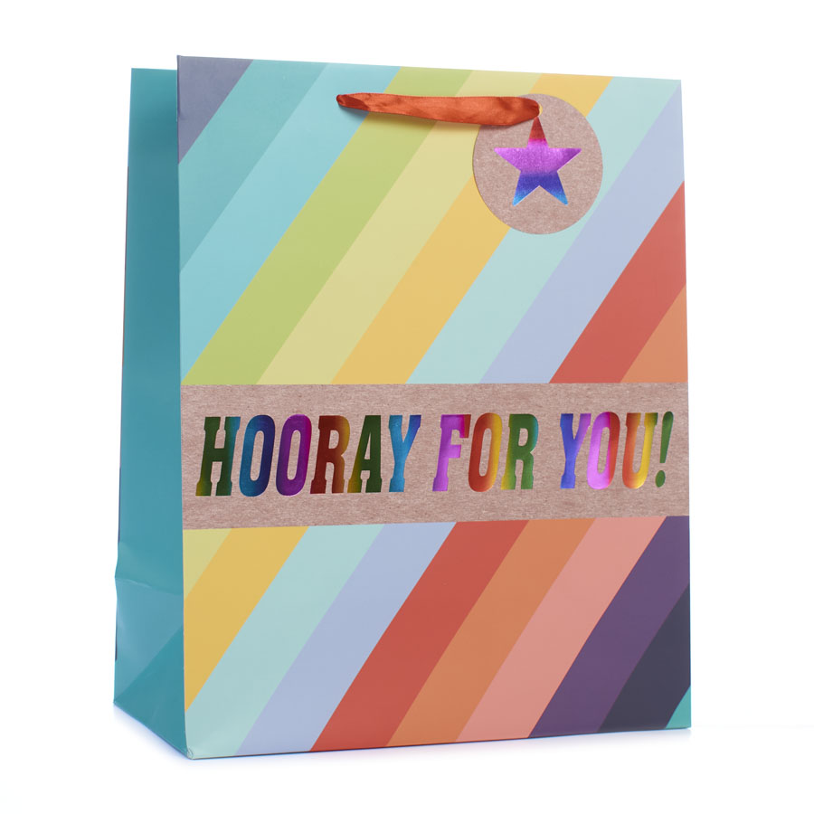 Tiger Feet Gift Bag Rainbow Stripe Large 6pk