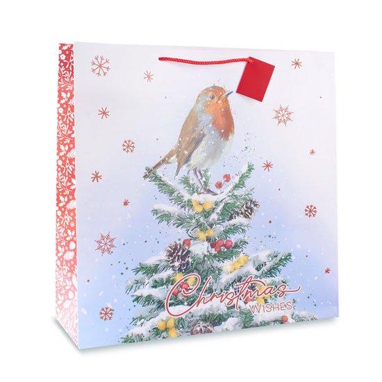 12pk Giant Square Gift Bags Robin