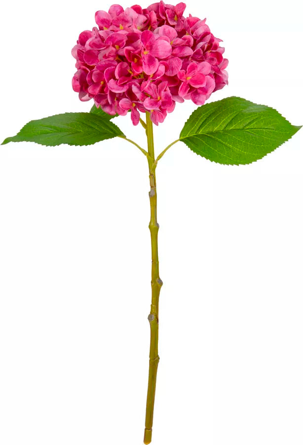 Eleganza Small Head Hydrangea Fuchsia