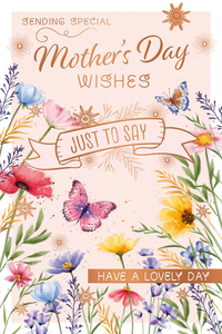 Prelude C75 Mother's Day Open 6pk