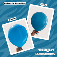 Kalisan Standard Caribbean Blue 18" Latex 25pk