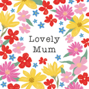 Hip To Be Square Mother's Day 6pk