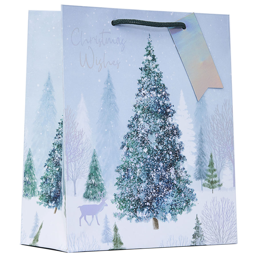 Partisan 6 Pack Gift Bag Frozen Forest Medium