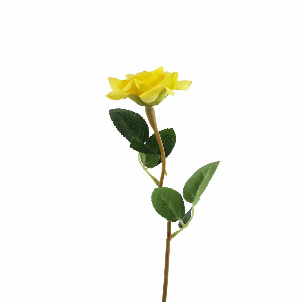 Rose Yellow