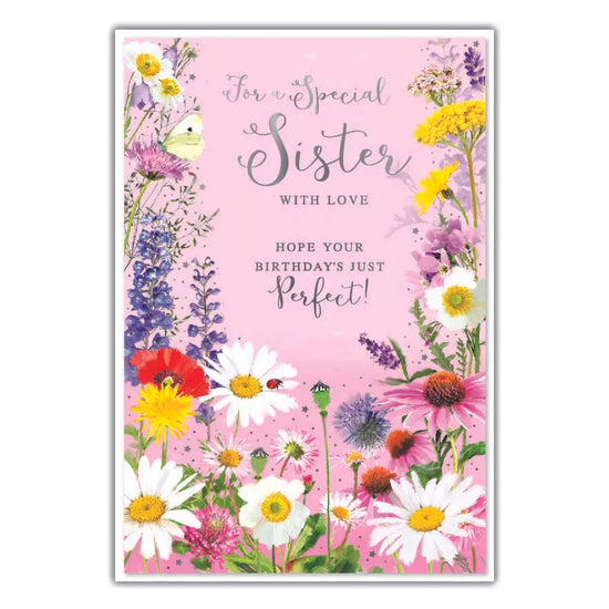Simon Elvin C50 Birthday Sister 6pk