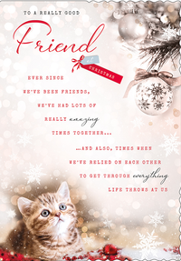 Regal 6 Pack C90 Cards Christmas Friend