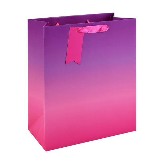 Eurowrap 6 Pack Gift Bag Pink Ombre Large