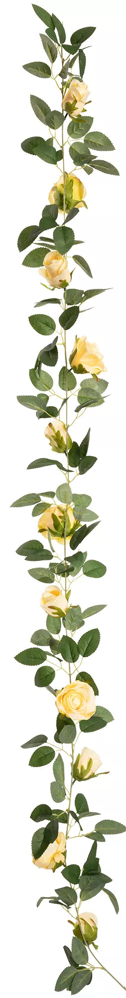 Eleganza Alice Rose Garland Champagne (11 Heads)
