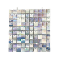 Oaktree Sequin Wall Panel Silver Iridescent 30cm