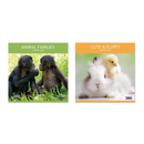 Calendar Square Animal Families 2027 12pk