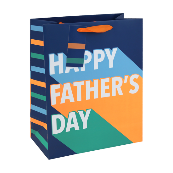 Eurowrap 12 Pack Gift Bag Trend Father's Day Large