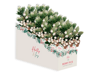 Gem Imports Berry Pick White 27cm