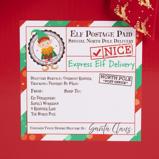 Tiger Feet Sticker Elf Delivery