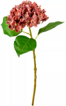 Eleganza Small Head Hydrangea Vintage Rose