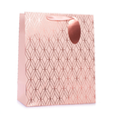 Tiger Feet 6 Pack Gift Bag Rose Gold Geo Small