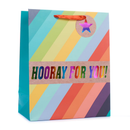 Tiger Feet Gift Bag Rainbow Stripe Medium 6pk