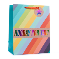 Tiger Feet Gift Bag Rainbow Stripe Medium 6pk
