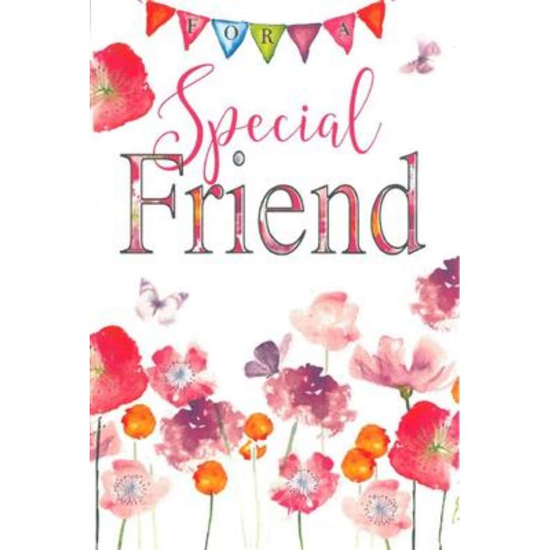 Simon Elvin C75 Birthday Friend 6pk