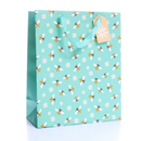 Tiger Feet 6 Pack Gift Bag Multi Bees Large