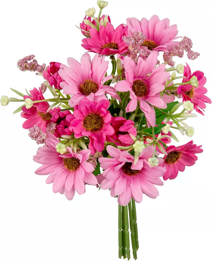 Eleganza Gerbera Daisy Mixed Bush Cerise Pink