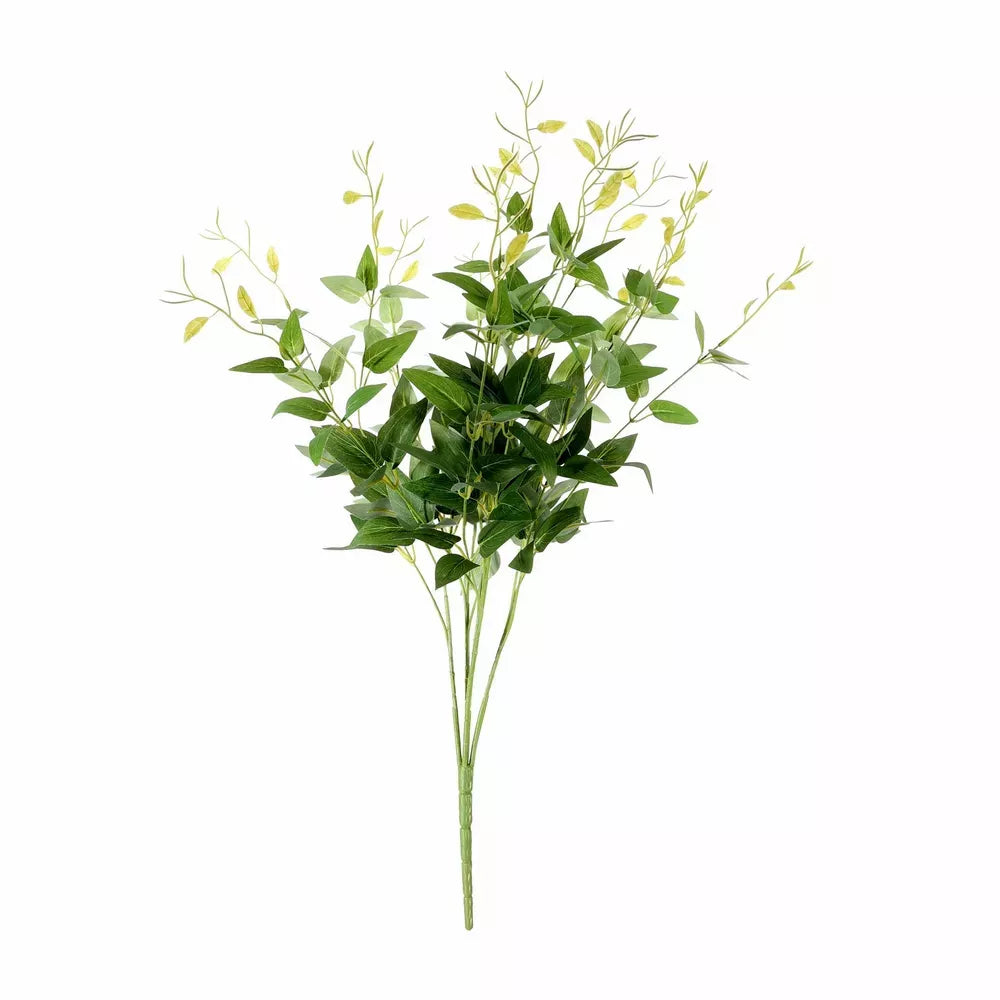 Ruscus Bush Light Green