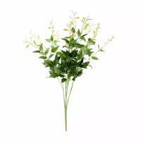 Ruscus Bush Light Green
