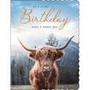 Regal 6 Pack Cards C50 Everyday Birthday