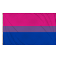 Henbrandt Pride LGBTQ+ bisexual flag, 5ft by 3ft, with vibrant rainbow colors and bisexual pride symbols on fabric.