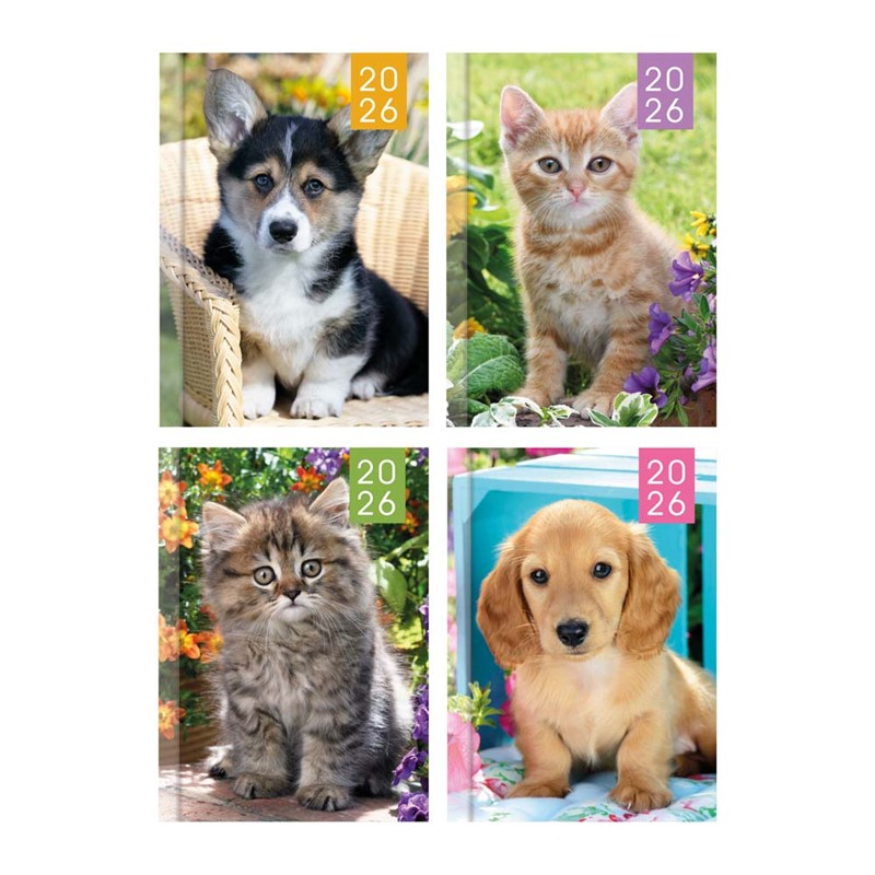 Diary Pocket WTV Kitten & Puppy 2027 24pk