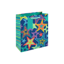 Eurowrap 6 Pack Gift Bag Neon Stars Medium