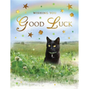 Regal 6 Pack Cards C50 Everyday Good Luck